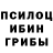 Галлюциногенные грибы GOLDEN TEACHER l2 fox