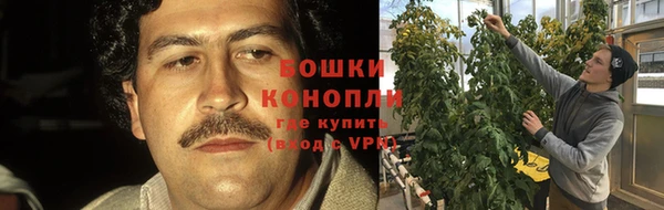 Альфа ПВП Елабуга