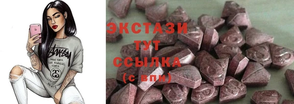 МДПВ Ельня