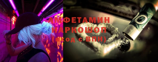 МДПВ Ельня