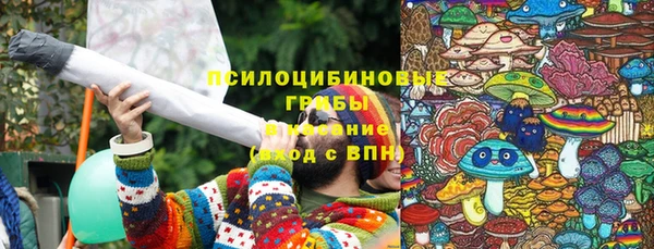 хмурый Елизово