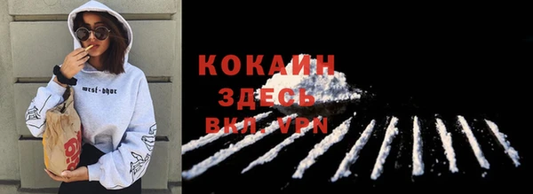 хмурый Елизово