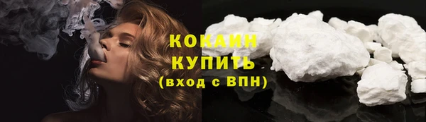 МДПВ Ельня
