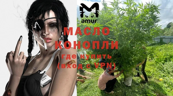 хмурый Елизово