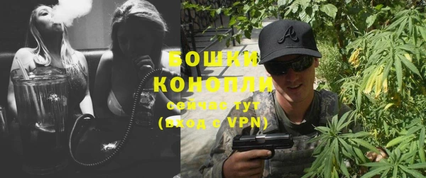 МДПВ Ельня