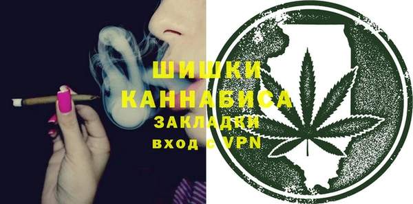 хмурый Елизово