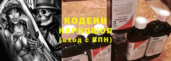 хмурый Елизово