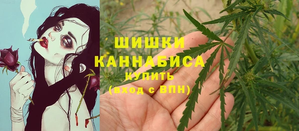 Альфа ПВП Елабуга