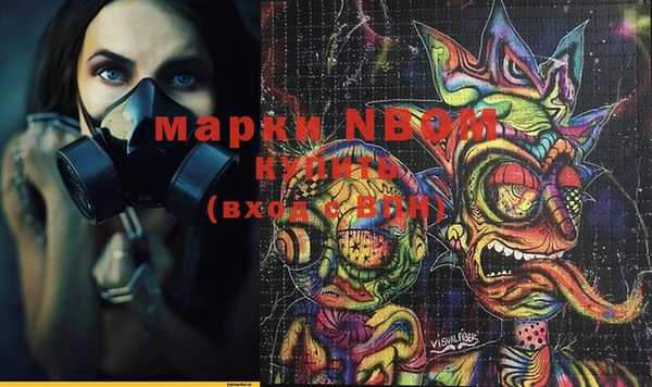 МДПВ Ельня