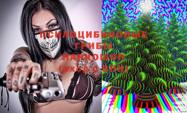 Альфа ПВП Елабуга