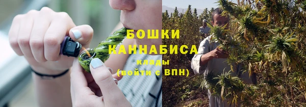 Альфа ПВП Елабуга