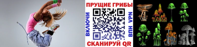 Купить закладки  Нефтегорск  Галлюциногенные грибы мицелий 